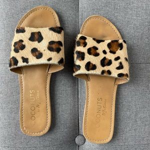 Coconuts by Matisse Leopard Print Slides (Sandals, Size 9)